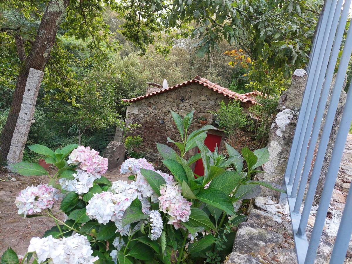 Apartamento Moinho Do Formigal Valença do Minho Exterior foto