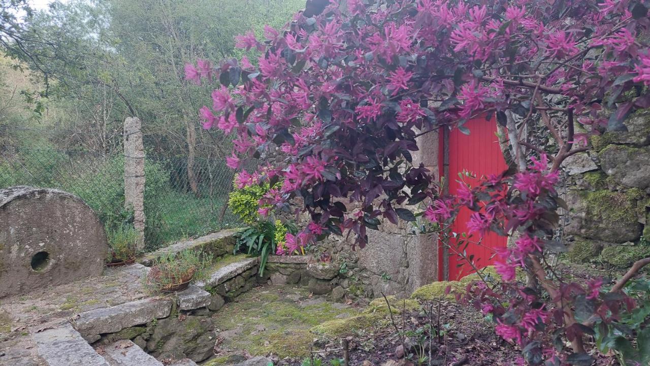Apartamento Moinho Do Formigal Valença do Minho Exterior foto
